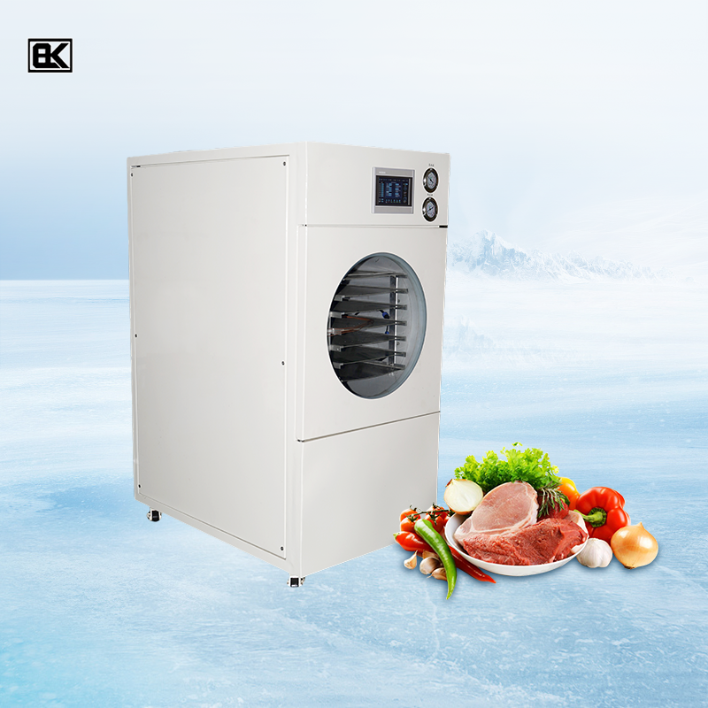Small Shop Food Freeze Drying Machine with  SUS304 Trays
